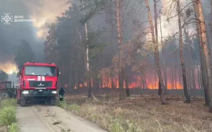 Рятувальники гасять лісові пожежі у семи областях України