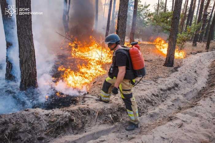 На Харківщині гасять масштабну пожежу у ландшафтному парку