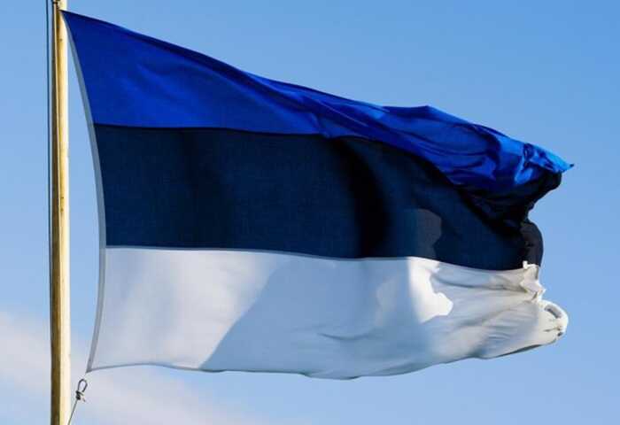 Естонія додатково виділить Україні близько 200 тисяч євро на гуманітарні потреби